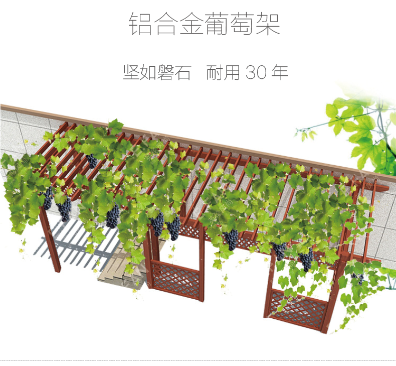 葡萄架详情页3.png